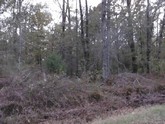 property listing