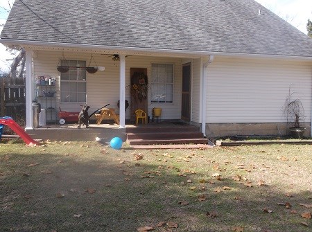 property listing image