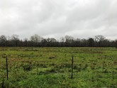 property listing