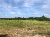 property listing
