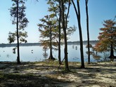 property listing