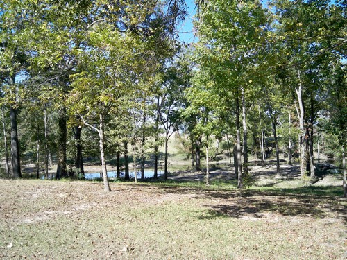 north side of lot